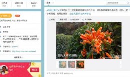 风行工作室最新爆料,揭秘娱乐圈惊天秘密